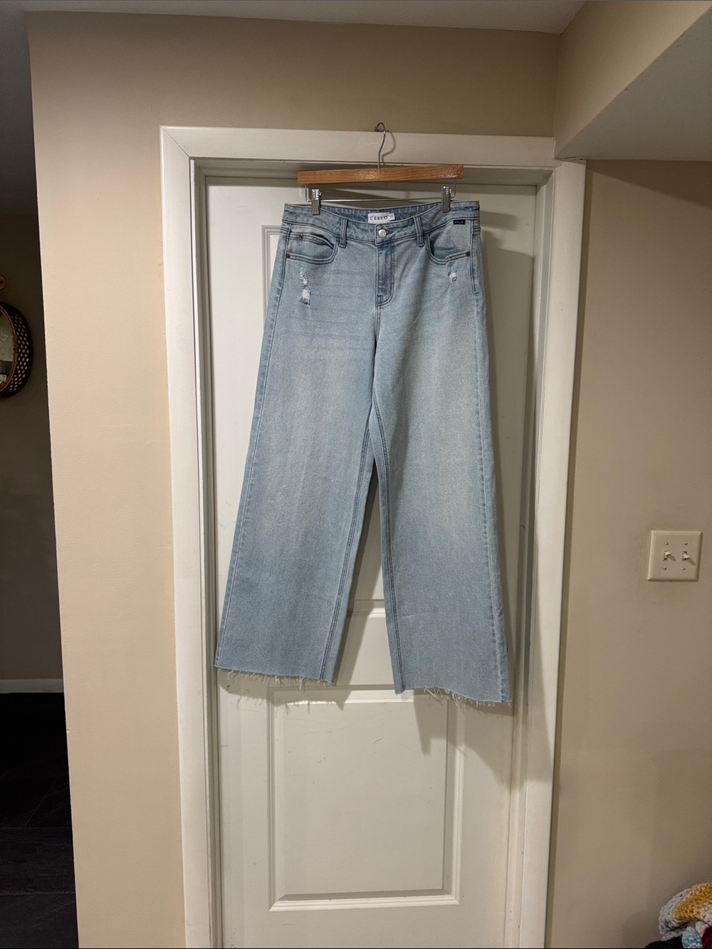 Cello Light Blue Wide Leg Jeans with Raw Hem